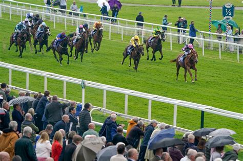 ladbrokes ante post horse racing|What is ante.